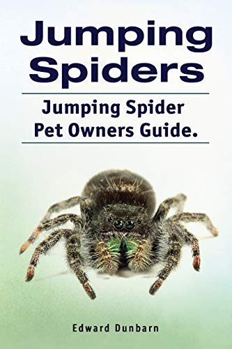 Jumping spiders - jumping,
