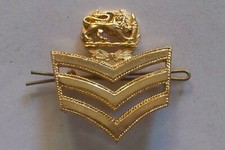 Rhodesia BSAP 1st Sergeant