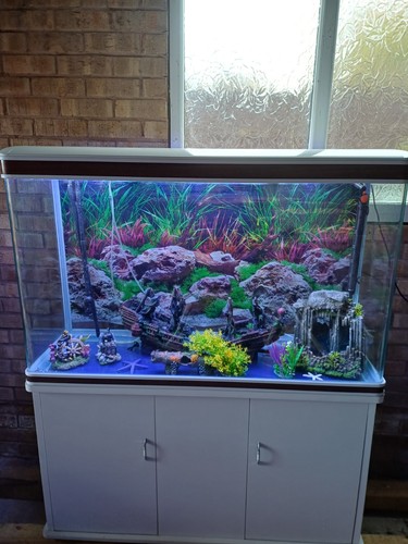 Fish tank aquarium - tank, with