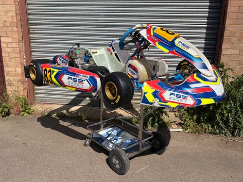 Tony kart alonso - kart,