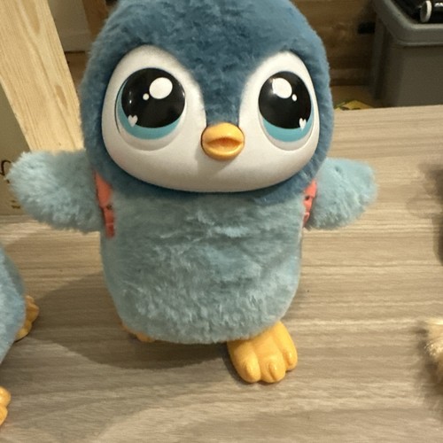 Little live pets walking - little, my