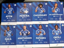 Leicester city victor - city,