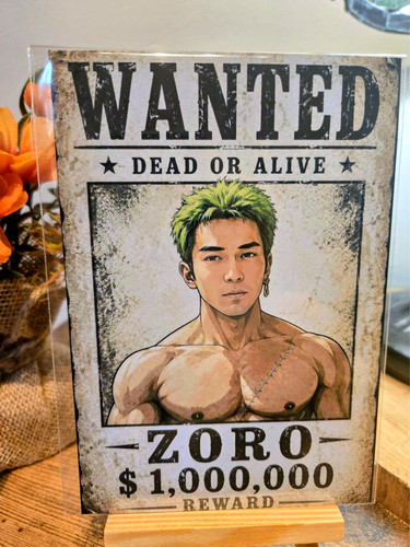 One piece zoro - one,