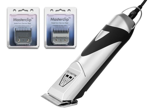 Norfolk terrier dog clippers - dog,
