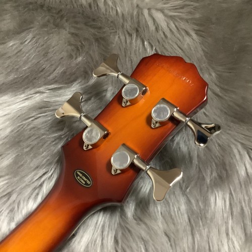 Epiphone viola bass - viola,