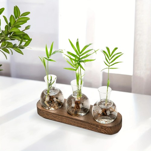 Plant propagation station - plant,