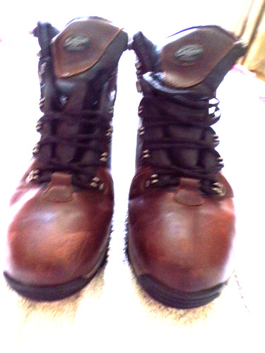 Cotton traders brown leather - cotton,