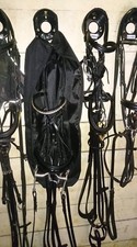 Bridle bag - bridle,