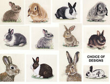RABBITS - Full Counted Cross