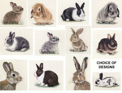 Rabbits full counted - rabbits,