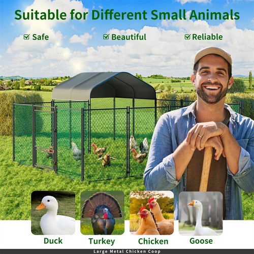 Large metal chicken - large, coop