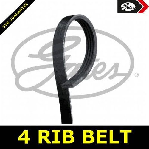 Alternator belt ribbed - belt, for