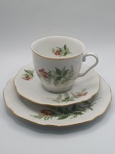Chodow Bone China  Made In