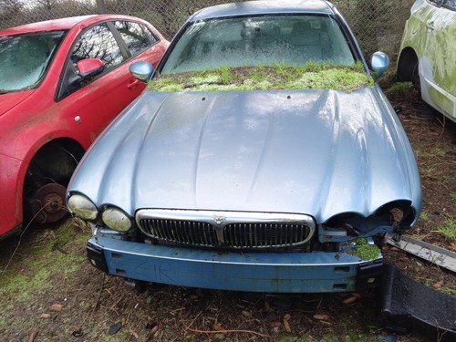 Jaguar type bonnet mk1 - jaguar,
