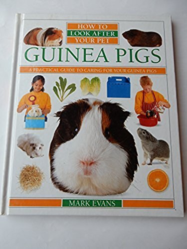 Guinea pigs how look - pigs, (how
