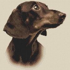 Dachshund (Sepia) Cross Stitch