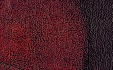 Suite lounge chair sofa - suite, 2