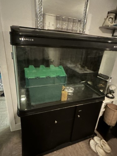 Boyo fish tank aquarium - fish,