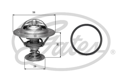 Thermostat coolant fits - coolant,