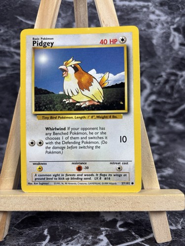Pokémon tcg pidgey base set - base,