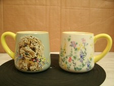 Next 2 PK Charlie The Cockapoo