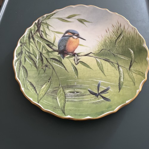 Spode kingfisher plate 1 - kingfisher,