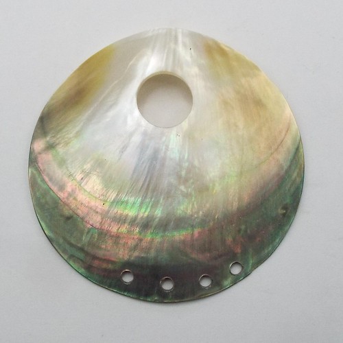 Mother pearl shell - of,
