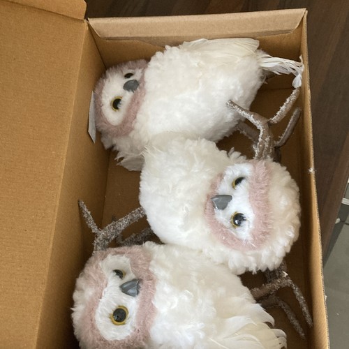 Set white owl - white,