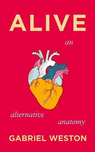 Alive alternative anatomy - alive:,