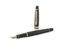 Waterman Expert Fountain Pen