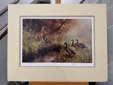 Mick Cawston - Strength in