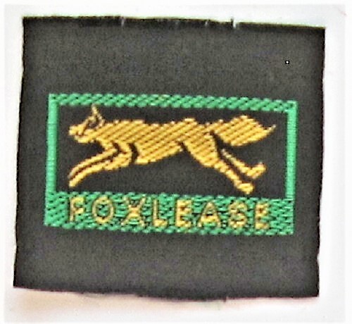 Girl guide ribbon badge - ribbon,