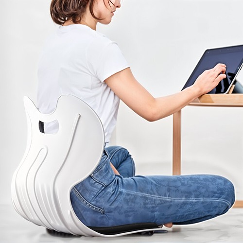 Ergonomic back lumbar support - ergonomic,