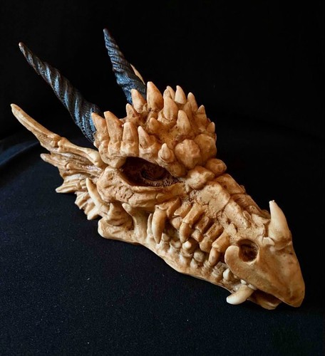 Dragon skull treasure - dragon,