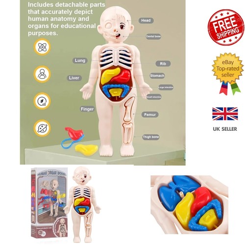 Montessori toys diy - toys, human