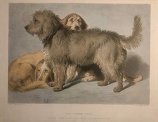 1879 Antique line engraved