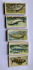 Freshwater Fish Brooke Bond Tea Cards - Pick Your Cards