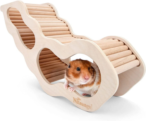 Hamster house hideout - hamster, ladder