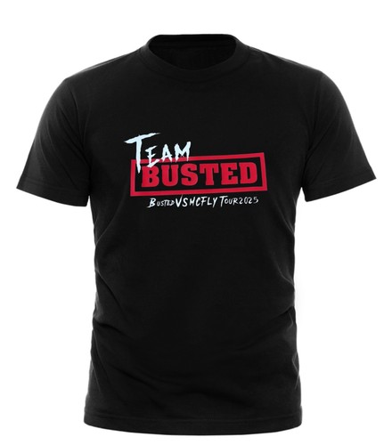 Busted mcfly team - busted,