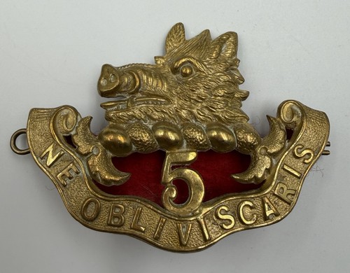 Genuine edwardian 5th regiment - edwardian,