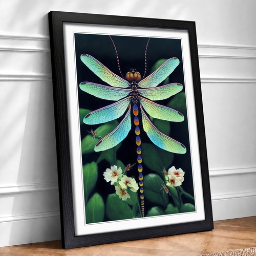 Dragonfly nature framed - dragonfly, in