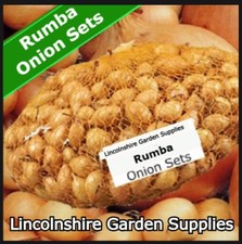 Spring Planting Onion Sets