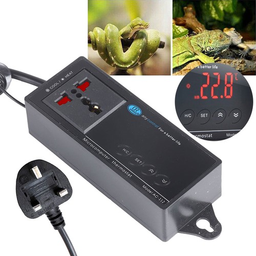 Digital reptile aquarium - reptile,