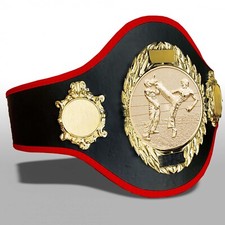 BEAUTIFUL KICKBOXING CHAMPIONSHIP TITLE BELT (PRO286)