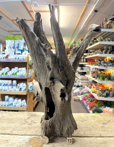 Large corbo root aquarium - root,