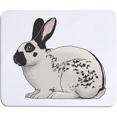 English spot rabbit mouse - 'english,