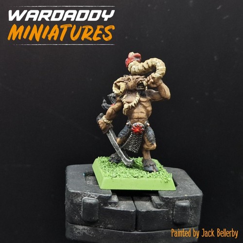 Pro painted warhammer fantasy - pro,