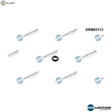 SEAL RING INJECTOR DRM03113