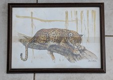 Vintages framed coloured Joel