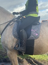 Personalised Equestrian Horse
